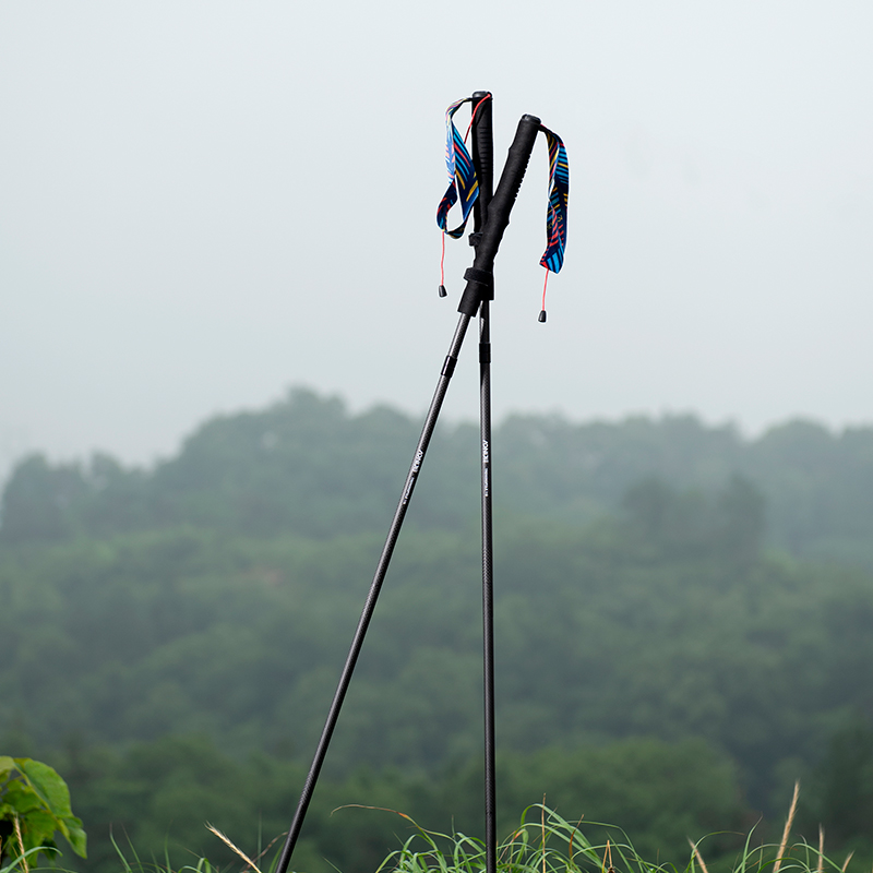 ไม้เท้าเดินป่าแบบพับได้ AONIJI - Trekking Pole Carbon บทวิจารณ์และราคา